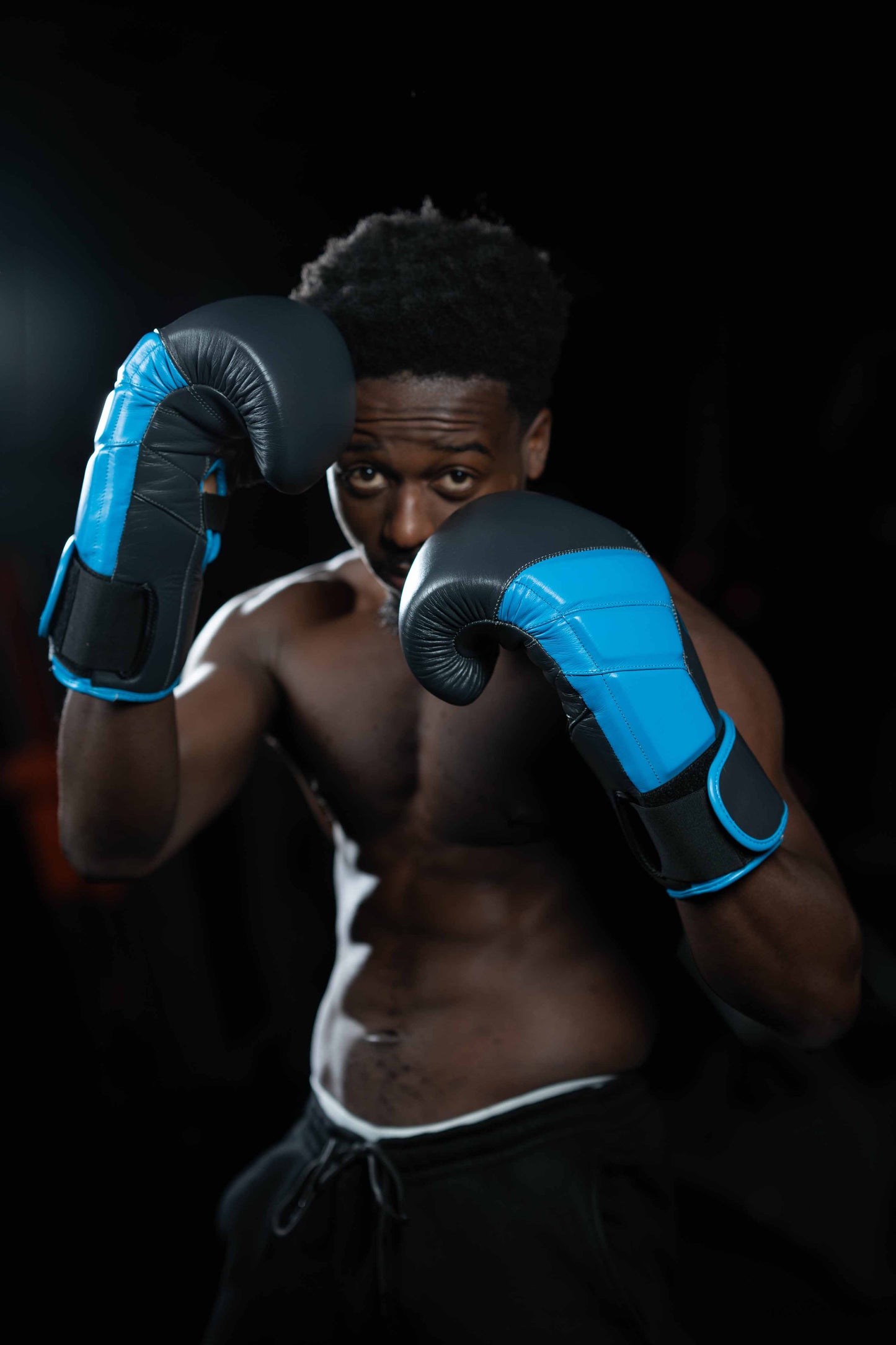 Natural Leather Premium Boxing Gloves