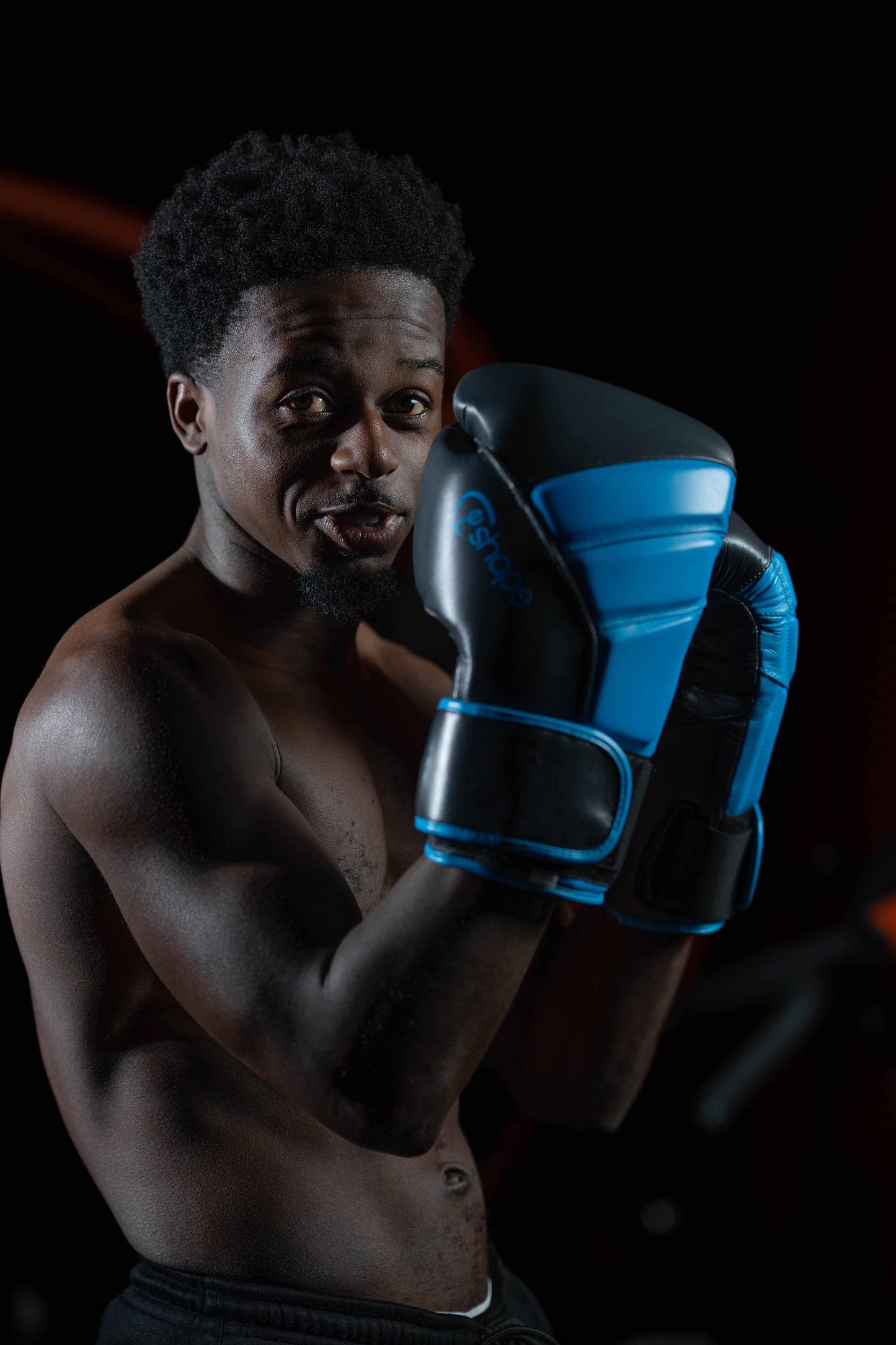 Natural Leather Premium Boxing Gloves