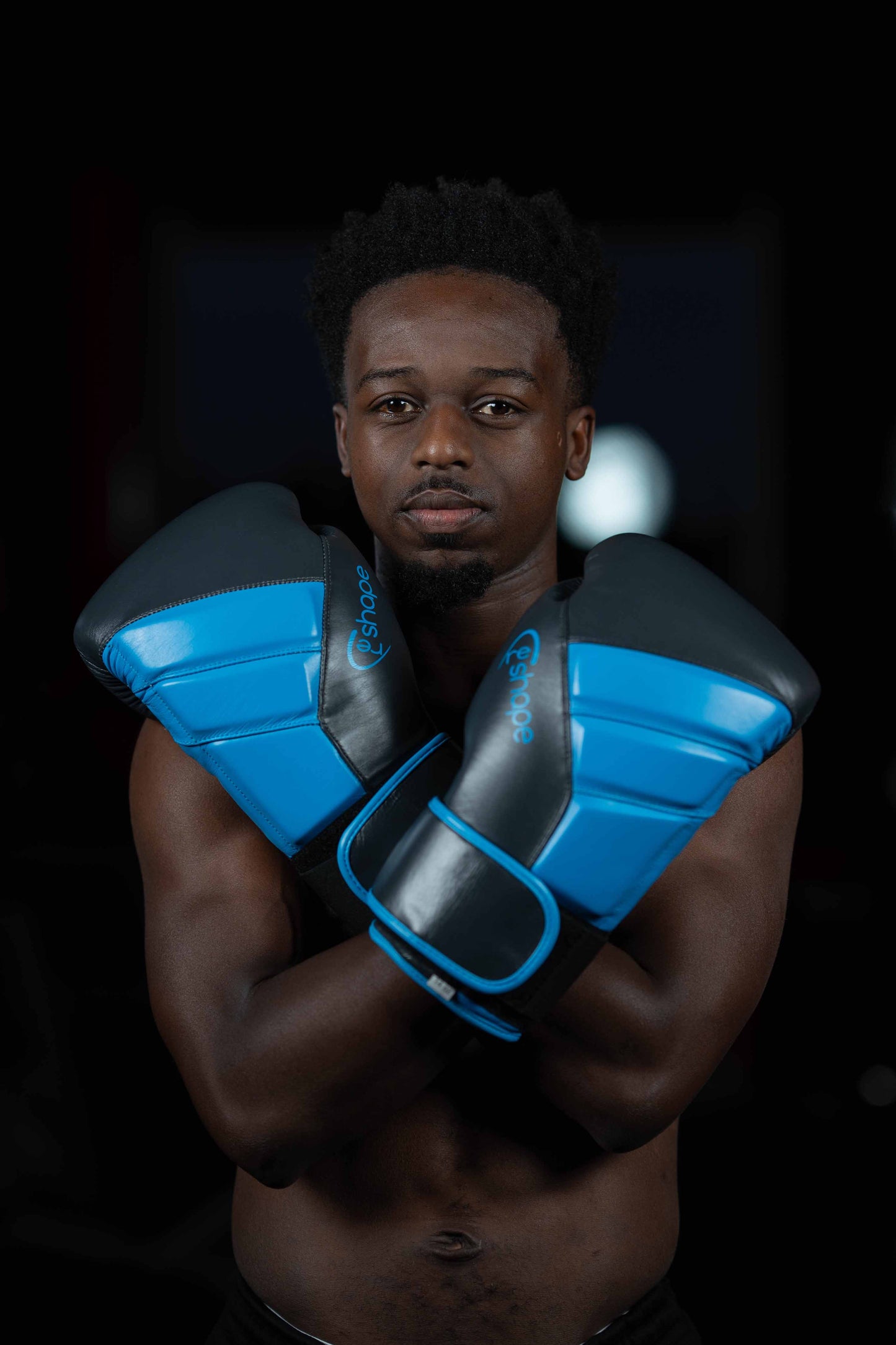 Natural Leather Premium Boxing Gloves